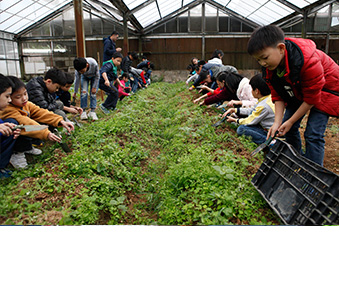 与香港青年协会携手安排快乐农庄义工体验计划