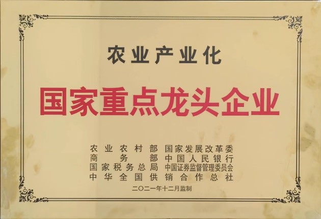 江蘇南順食品有限公司